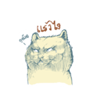 Aggressive Cats（個別スタンプ：13）