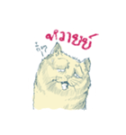 Aggressive Cats（個別スタンプ：16）