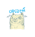 Aggressive Cats（個別スタンプ：19）