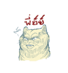 Aggressive Cats（個別スタンプ：22）