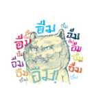 Aggressive Cats（個別スタンプ：24）