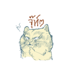 Aggressive Cats（個別スタンプ：26）
