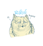 Aggressive Cats（個別スタンプ：27）