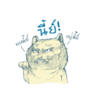 Aggressive Cats（個別スタンプ：30）