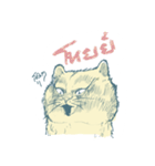 Aggressive Cats（個別スタンプ：34）
