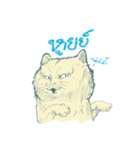 Aggressive Cats（個別スタンプ：35）