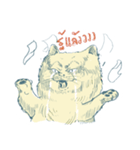 Aggressive Cats（個別スタンプ：36）