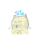 Aggressive Cats（個別スタンプ：40）