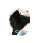 動物たちの日常の会話（個別スタンプ：3）
