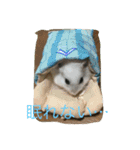 動物たちの日常の会話（個別スタンプ：6）