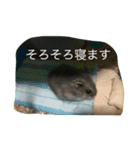 動物たちの日常の会話（個別スタンプ：8）