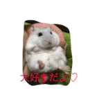 動物たちの日常の会話（個別スタンプ：9）