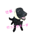 犬の一言（個別スタンプ：3）
