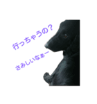 犬の一言（個別スタンプ：4）