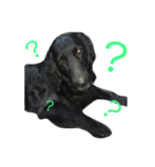 犬の一言（個別スタンプ：6）