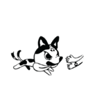Bragy's funny dog（個別スタンプ：1）
