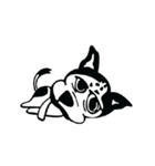 Bragy's funny dog（個別スタンプ：2）