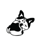 Bragy's funny dog（個別スタンプ：3）