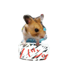 ちゃなむと赤ちゃん、そして犬。。（個別スタンプ：9）