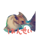 ちゃなむと赤ちゃん、そして犬。。（個別スタンプ：12）
