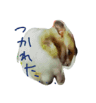 ちゃなむと赤ちゃん、そして犬。。（個別スタンプ：14）