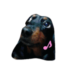 ちゃなむと赤ちゃん、そして犬。。（個別スタンプ：21）