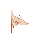 FennecFox（個別スタンプ：5）