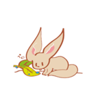 FennecFox（個別スタンプ：16）
