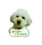 GO！ GO！ 龍ちゃんⅠ（個別スタンプ：1）
