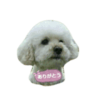 GO！ GO！ 龍ちゃんⅠ（個別スタンプ：3）