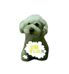 GO！ GO！ 龍ちゃんⅠ（個別スタンプ：6）