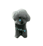 GO！ GO！ 龍ちゃんⅠ（個別スタンプ：7）