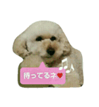 GO！ GO！ 龍ちゃんⅠ（個別スタンプ：10）