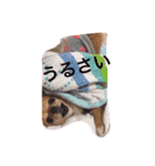 渡邊家のわんこ（個別スタンプ：14）