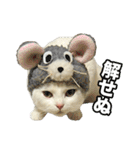 三毛猫えのき（個別スタンプ：40）