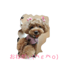 わんこでスタンプ（個別スタンプ：8）