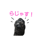 クック船長2（個別スタンプ：4）