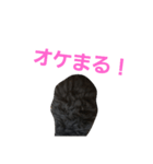 クック船長2（個別スタンプ：5）