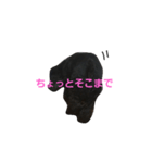 クック船長2（個別スタンプ：7）