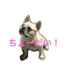 ブヒ さくらさん①（個別スタンプ：2）