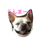 ブヒ さくらさん①（個別スタンプ：3）