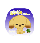 うちのトイプーです♪（個別スタンプ：3）