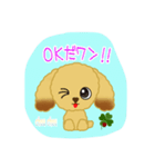 うちのトイプーです♪（個別スタンプ：4）