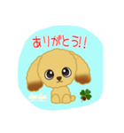 うちのトイプーです♪（個別スタンプ：5）