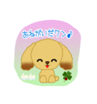 うちのトイプーです♪（個別スタンプ：7）