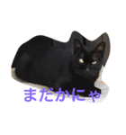 黒猫さゆりの一日（個別スタンプ：6）