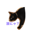 黒猫さゆりの一日（個別スタンプ：8）