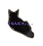 黒猫さゆりの一日（個別スタンプ：11）