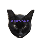 黒猫さゆりの一日（個別スタンプ：14）