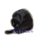 黒猫さゆりの一日（個別スタンプ：16）